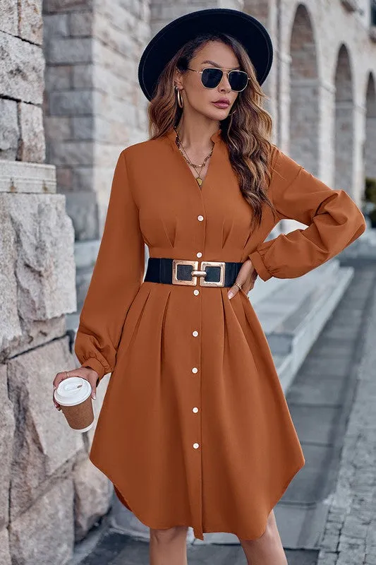 Fitted Waist Button Front Shirt Dress