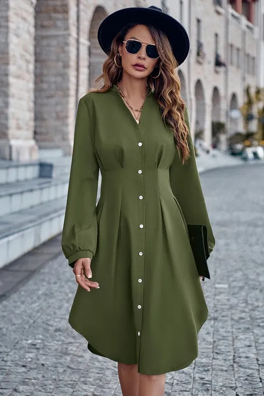 Fitted Waist Button Front Shirt Dress