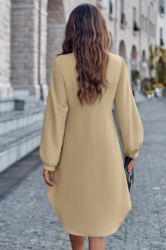Fitted Waist Button Front Shirt Dress