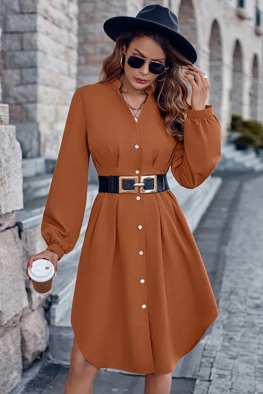 Fitted Waist Button Front Shirt Dress