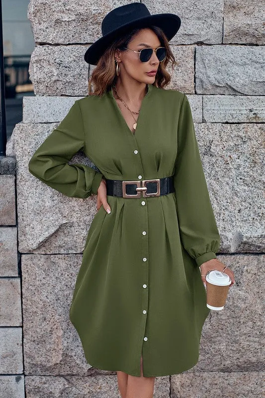 Fitted Waist Button Front Shirt Dress