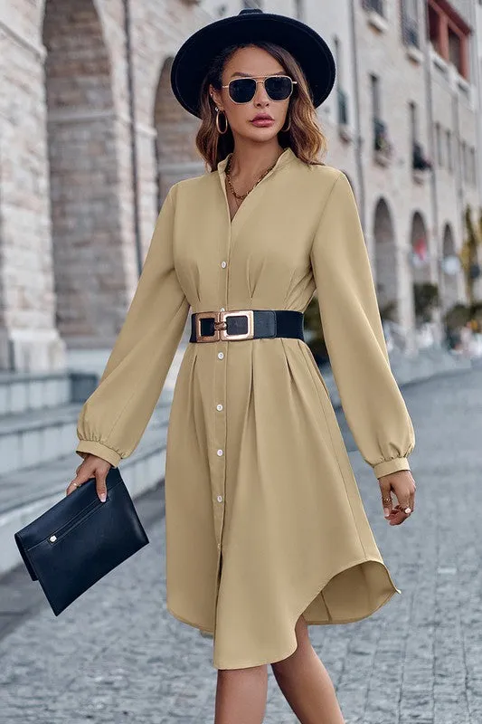 Fitted Waist Button Front Shirt Dress