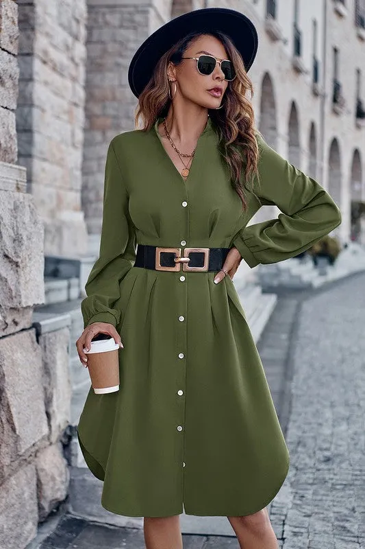 Fitted Waist Button Front Shirt Dress