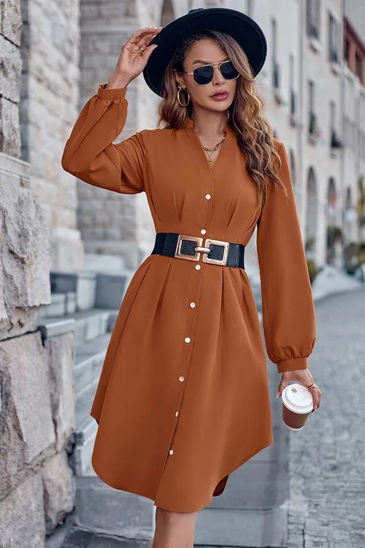 Fitted Waist Button Front Shirt Dress